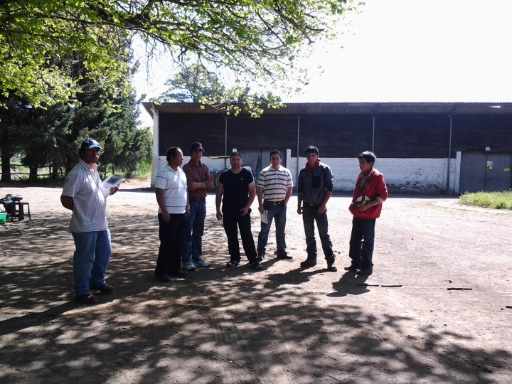 Plaguicidas Oct 2011